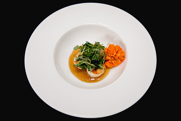 Food 12