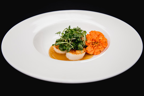 Food 13