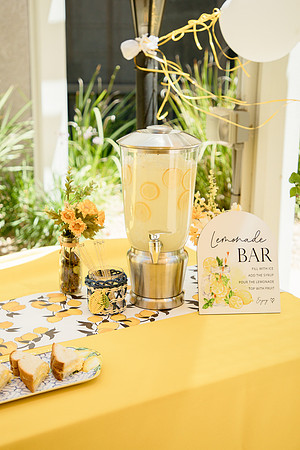 Lemonade Party4