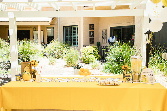Lemonade Party2