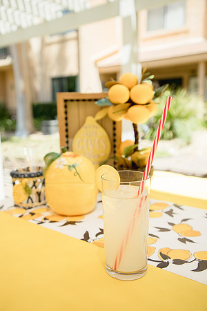 Lemonade Party5
