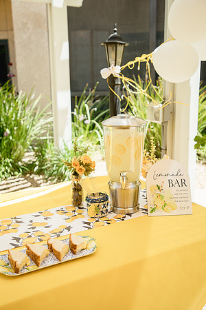 Lemonade Party3