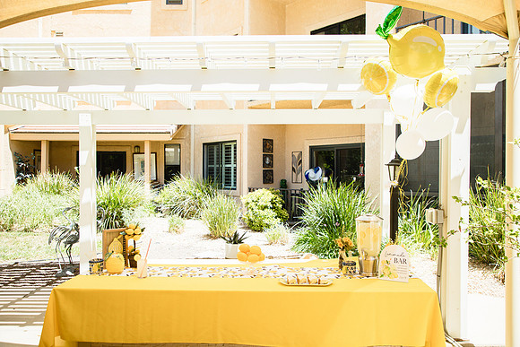 Lemonade Party1