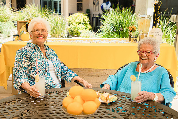 Lemonade Party6