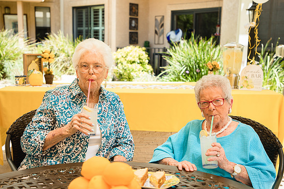 Lemonade Party10