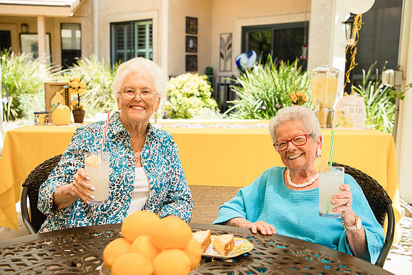 Lemonade Party13