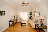 older room7