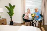 The Vision Suite 14