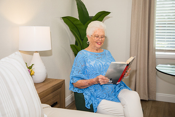 The Vision Suite 22