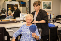 The Salon3