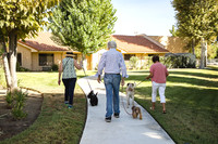 Dog Park