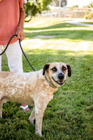 Dog Park 13
