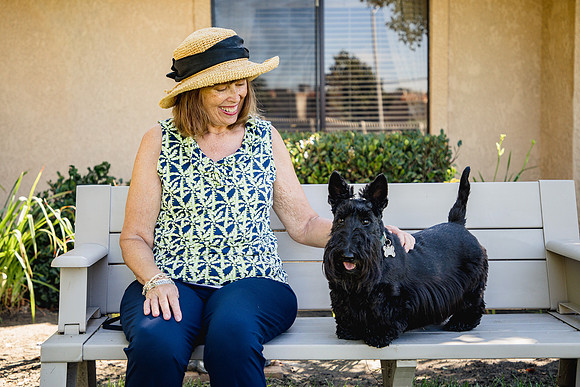 Dog Park 26