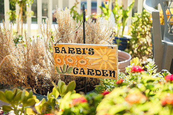 Garden 8