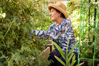 Garden 13