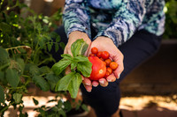 Garden 23