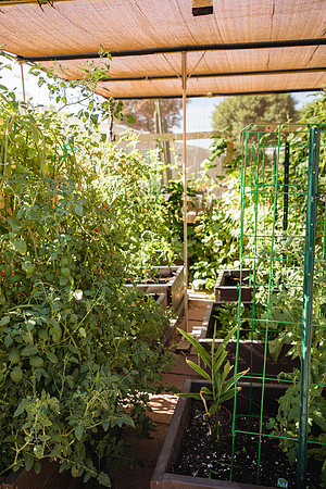 Garden 30