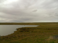 DSCF0362