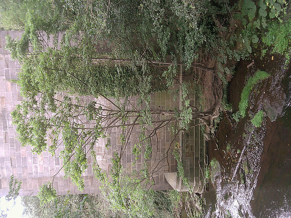 DSCF0562