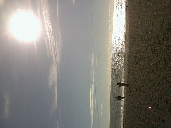 DSCF0501