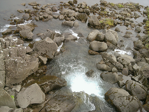 DSCF0403