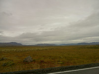 DSCF0368
