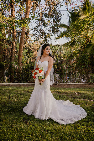 Wedding Day (421)