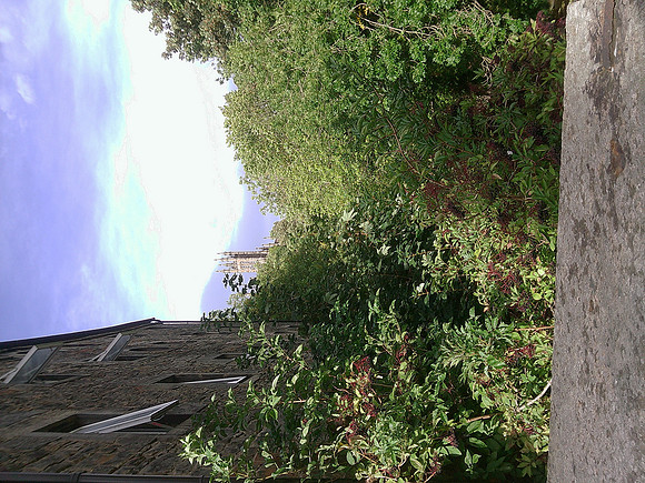 DSCF0572