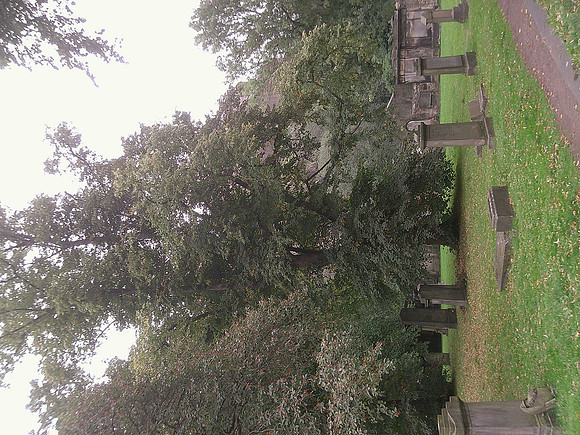DSCF0530