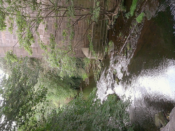 DSCF0561