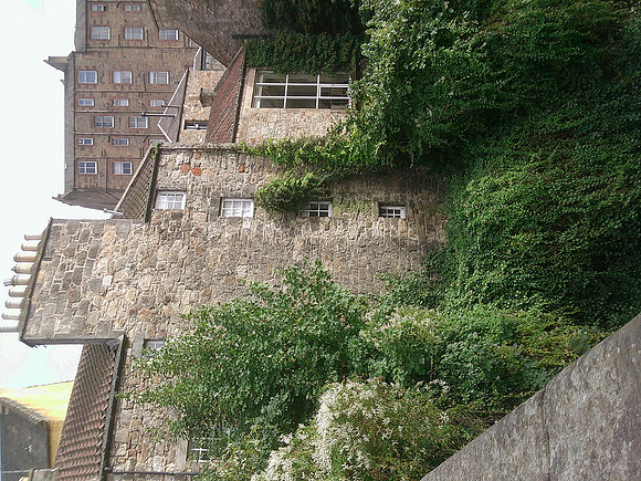 DSCF0565