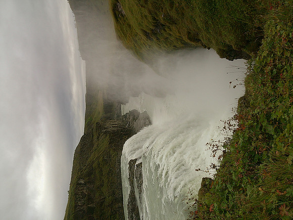 DSCF0431