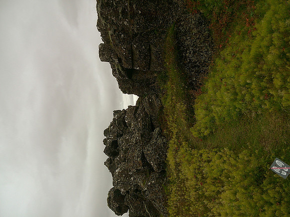 DSCF0382