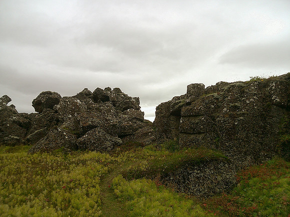 DSCF0381