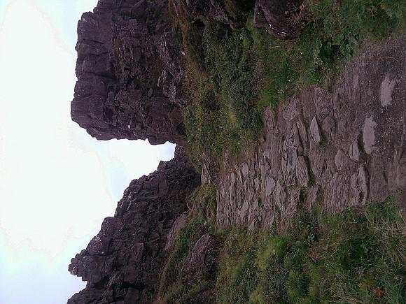 DSCF0386