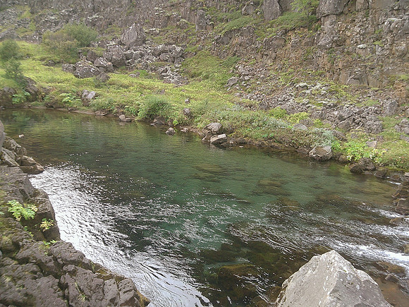 DSCF0406