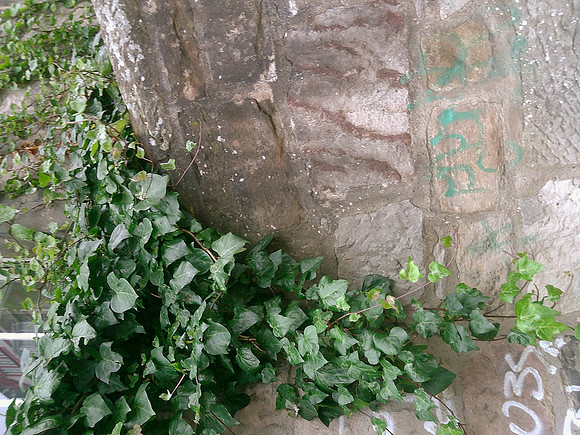 DSCF0553