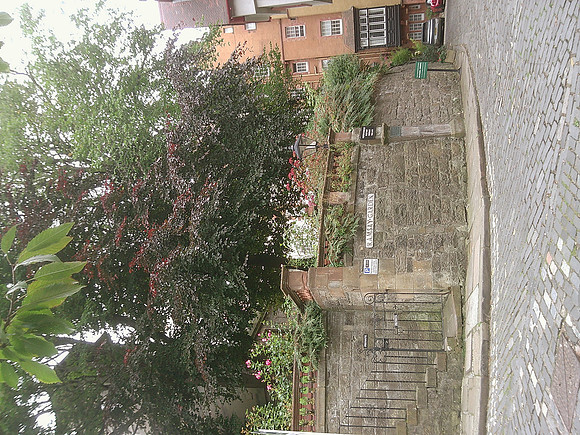 DSCF0546