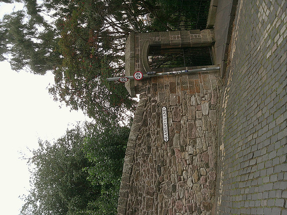 DSCF0554