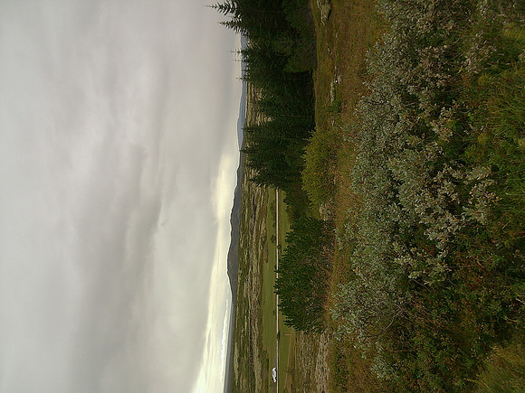 DSCF0380