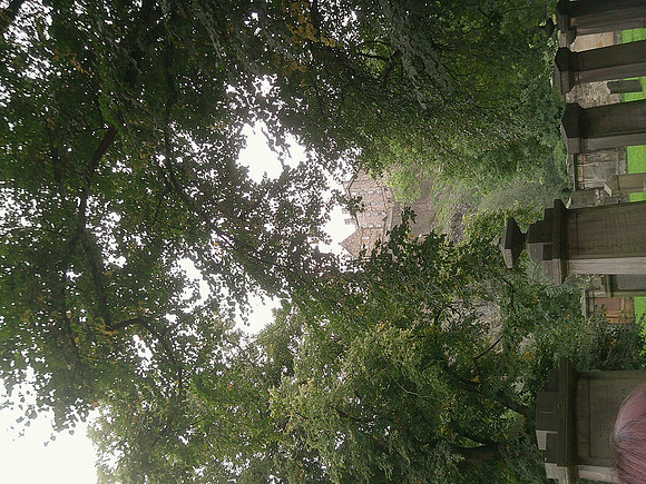 DSCF0529