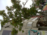 DSCF0352