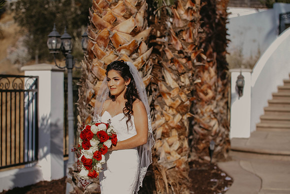 Wedding Day (218)
