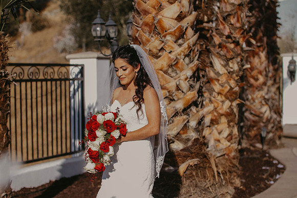 Wedding Day (219)