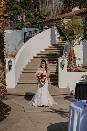Wedding Day (214)