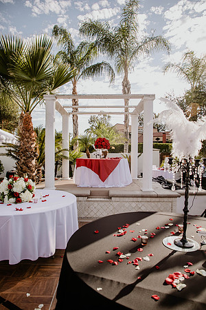 Wedding Day (470)