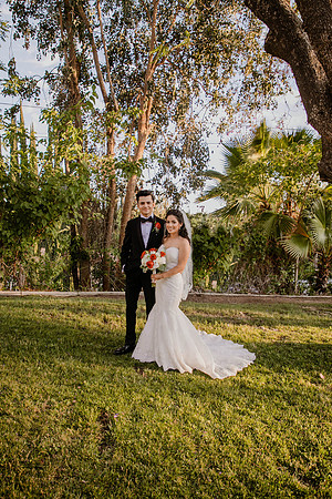 Wedding Day (373)