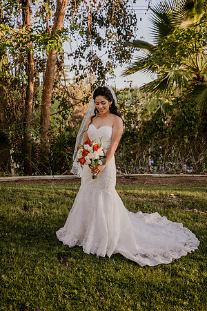 Wedding Day (423)