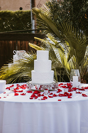 Wedding Day (479)