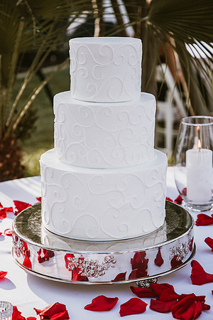 Wedding Day (480)